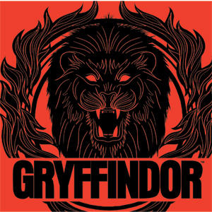 Wizarding Worlds Harry Potter Gryffindor Illustration PS5 Controller Skin